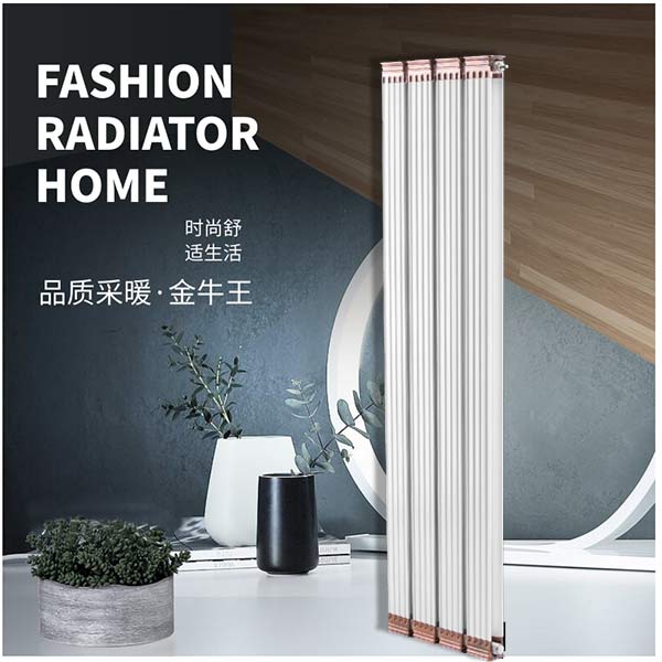 铜铝复合散热器罗马柱